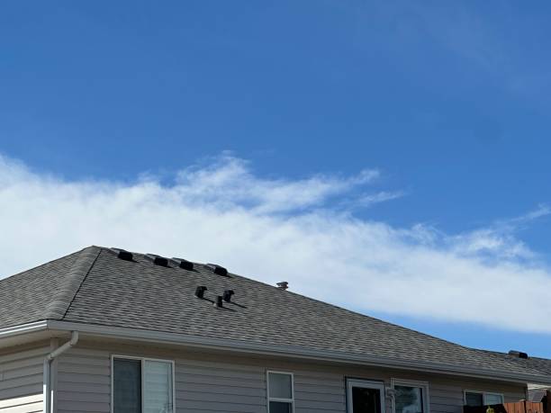 Best Roof Ventilation Installation  in Waynesboro, TN
